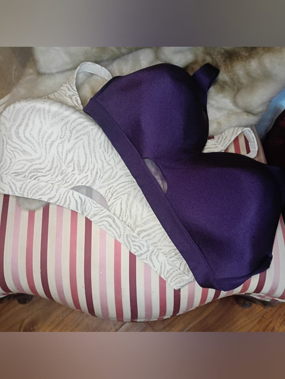 2 Cacique lightly lined no wire bras, 44DDD Barely Worn